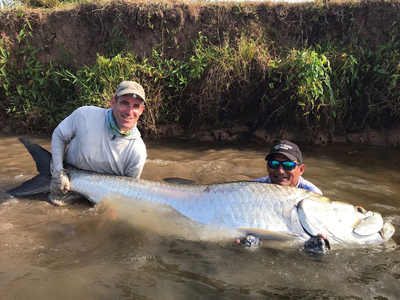 "Silver Kings" Tarpon Adventure In Sandy Bay Sirpi