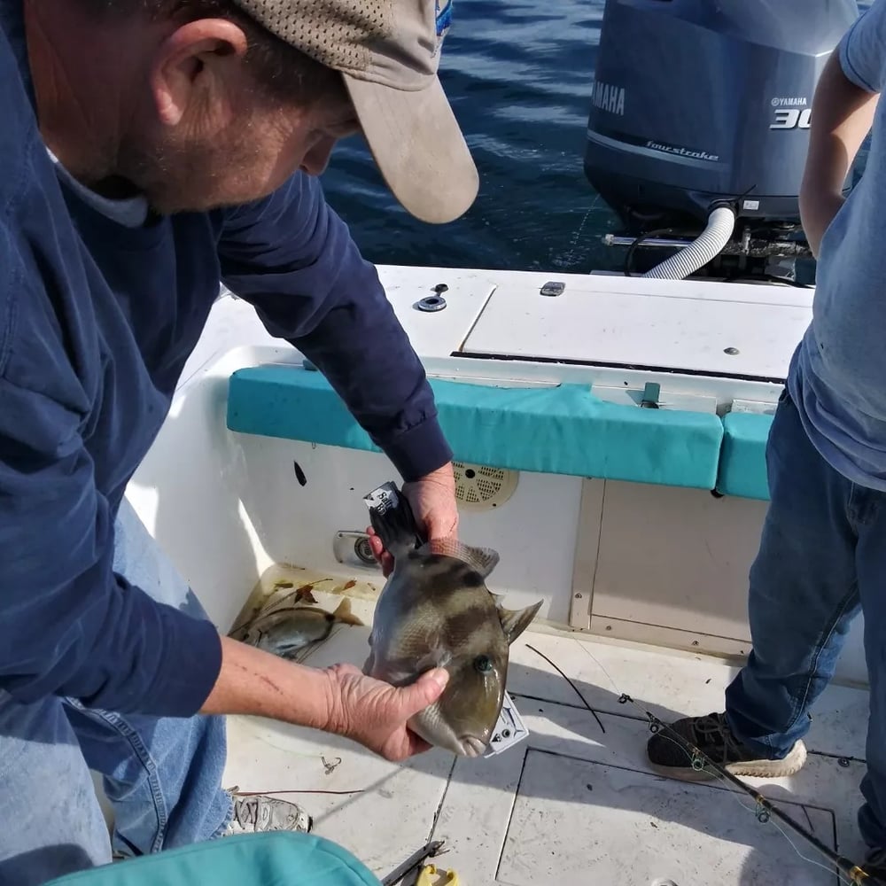 Full Day Offshore Trip In St. Marys