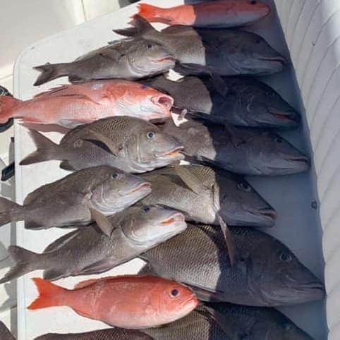 Bottomfishing/Trolling Combo In Wrightsville Beach