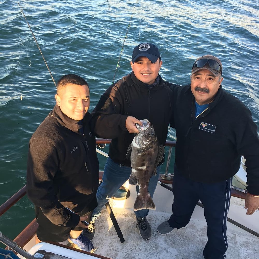 Local Offshore - 42’ Hershine In San Diego