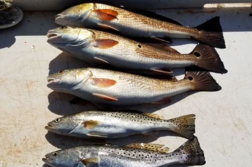 Jacksonville Flats On Light Tackle In Jacksonville Beach