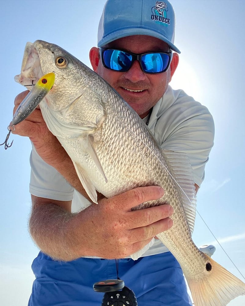 NC Inshore/Nearshore Combo In Atlantic Beach