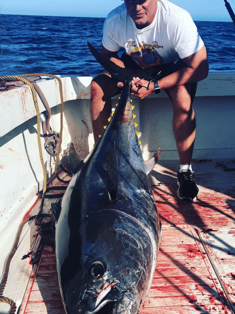 Long Run Offshore - 42' Hershine In San Diego