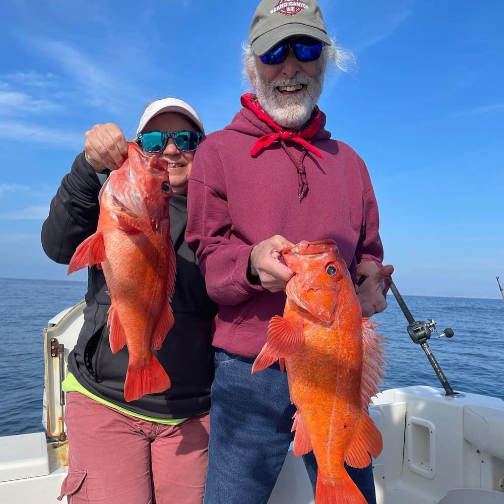 San Diego Fishing Fun In San Diego