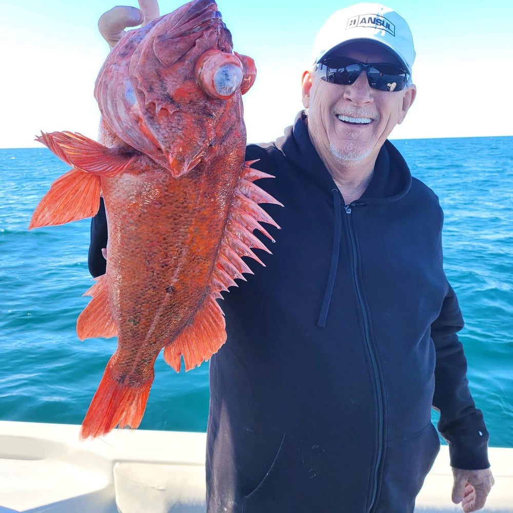 San Diego Fishing Fun In San Diego