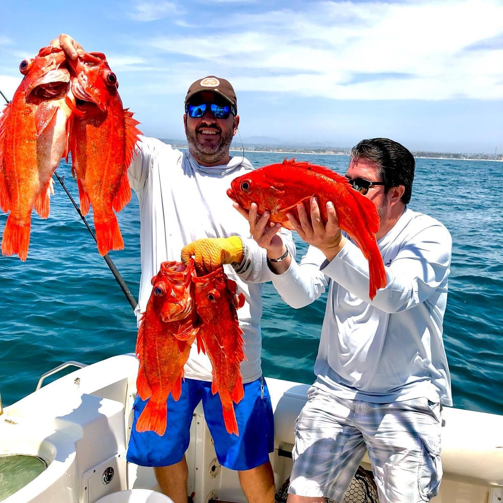 San Diego Fishing Fun In San Diego