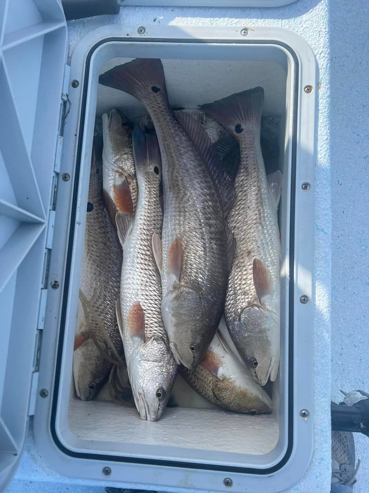 POC Inshore Run In Port O'Connor