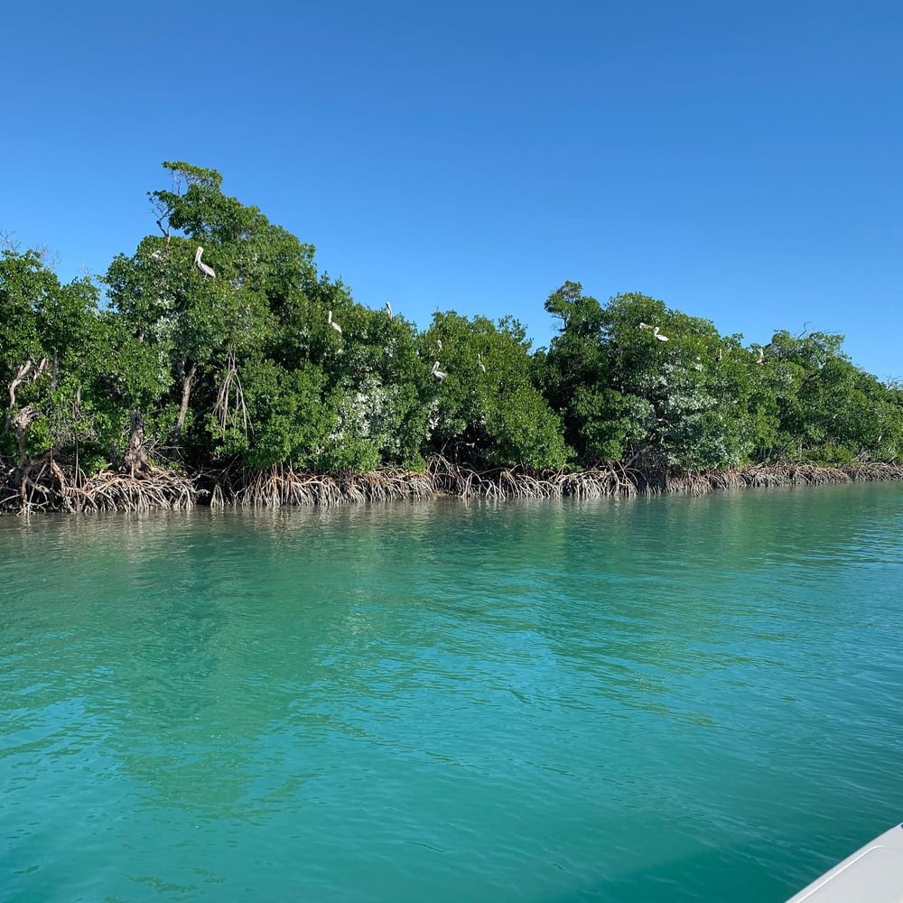 Reefs, Bays, Or Backcountry In Key West