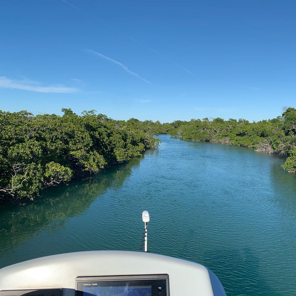 Reefs, Bays, Or Backcountry In Key West