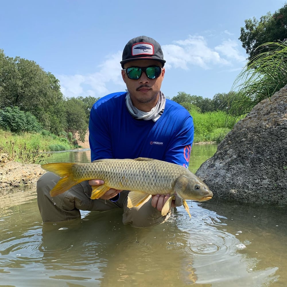 Carp And Buffalo On The Fly In Austin