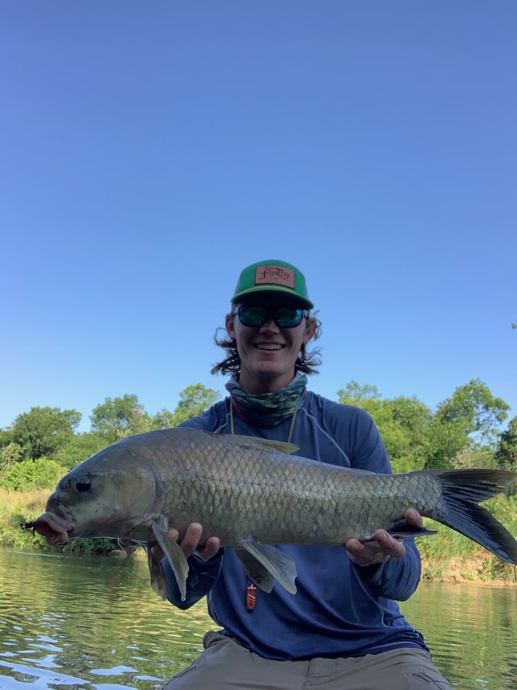 Carp And Buffalo On The Fly In Austin