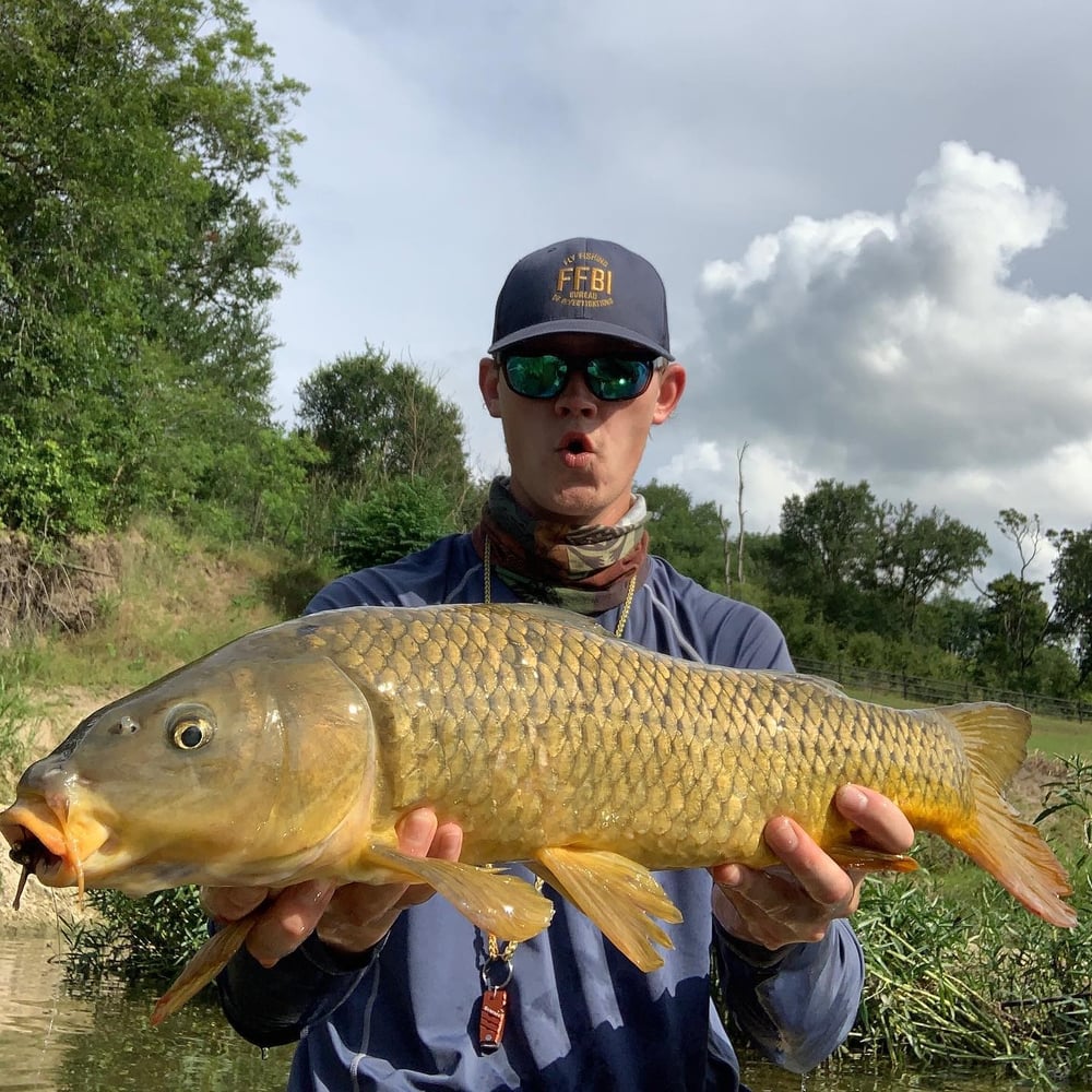 Carp And Buffalo On The Fly In Austin