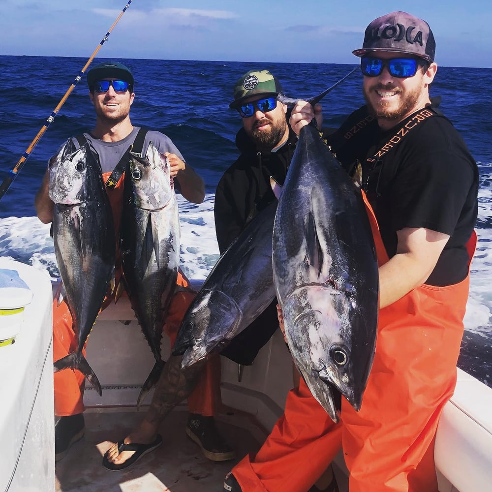 San Diego Pelagic Sportfishing In San Diego