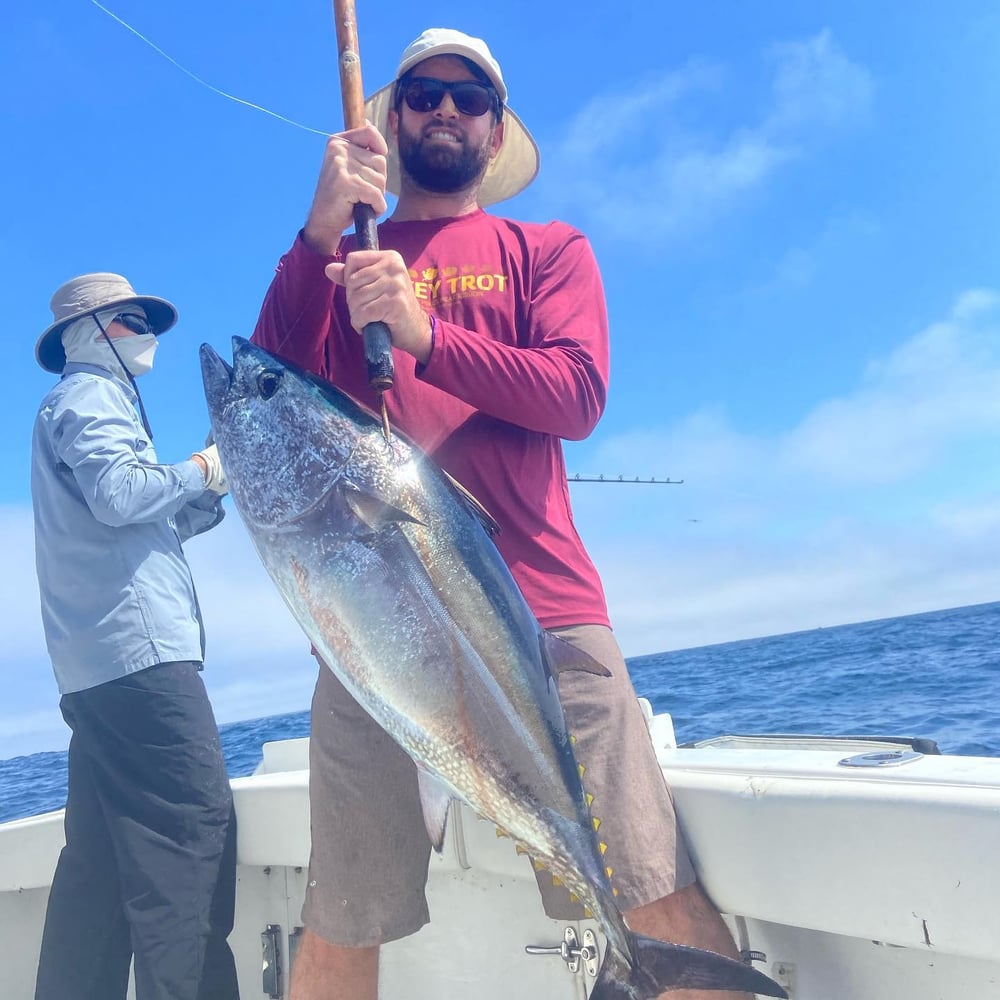 San Diego Pelagic Sportfishing In San Diego