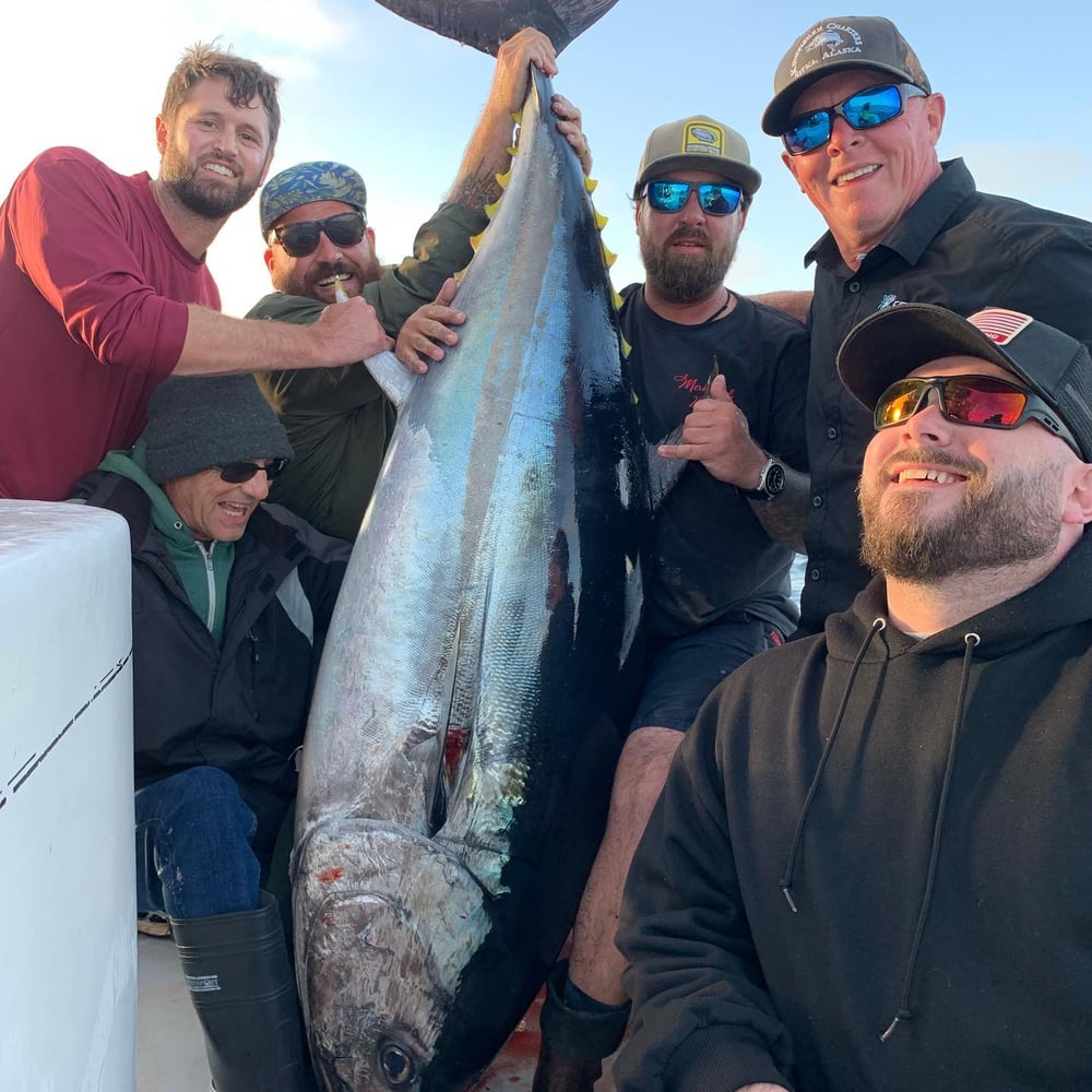 San Diego Pelagic Sportfishing In San Diego