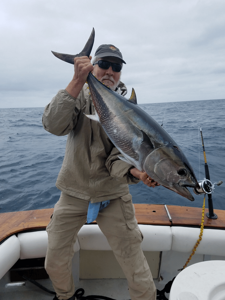 San Diego Pelagic Sportfishing In San Diego