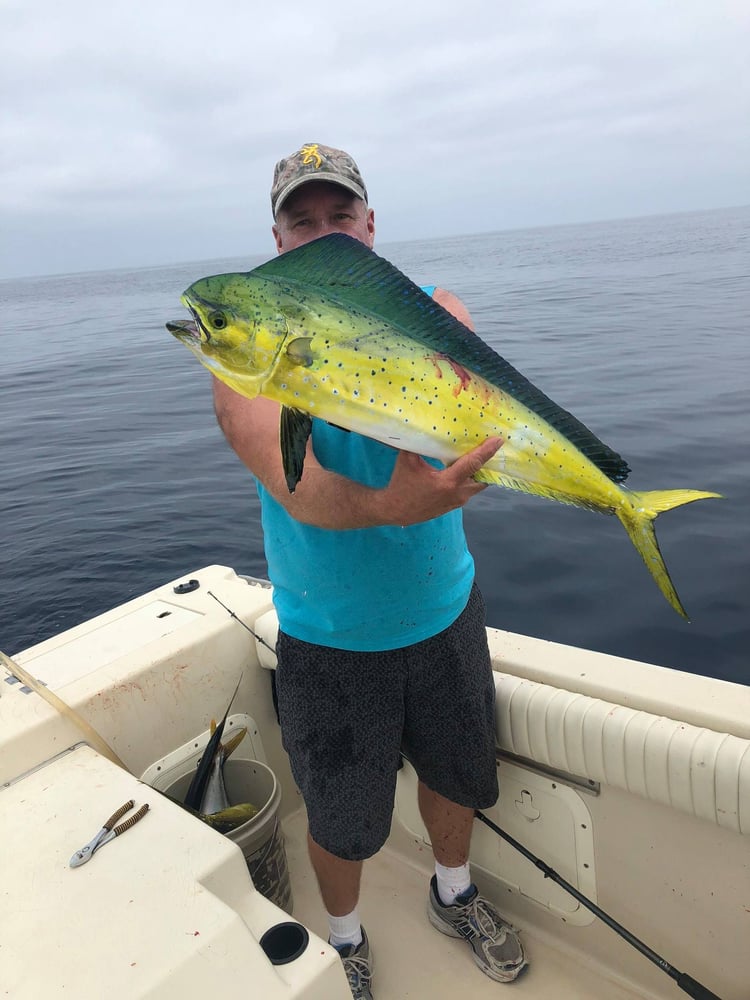 San Diego Pelagic Sportfishing In San Diego