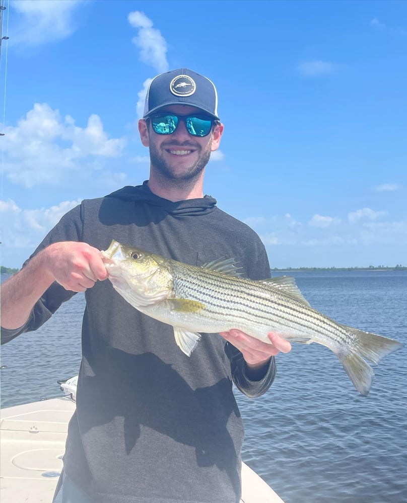 Inshore "Mixed Bag" Trip In New Bern