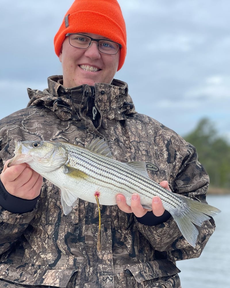 Inshore "Mixed Bag" Trip In New Bern