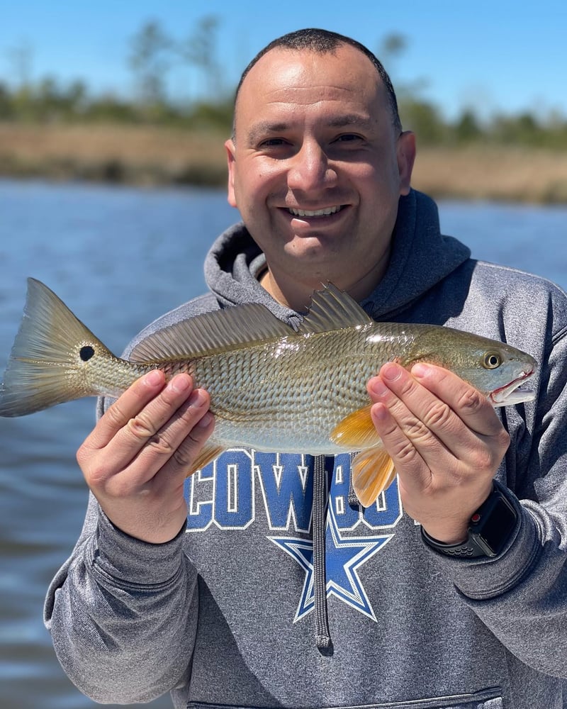 Inshore "Mixed Bag" Trip In New Bern