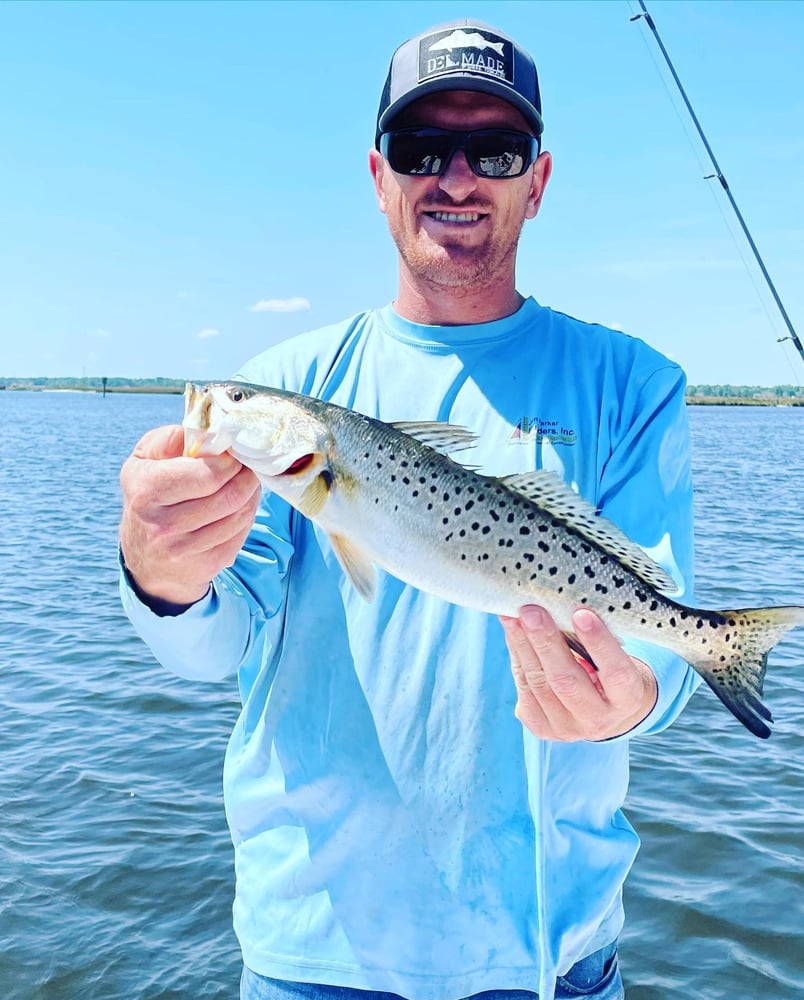 Inshore "Mixed Bag" Trip In New Bern