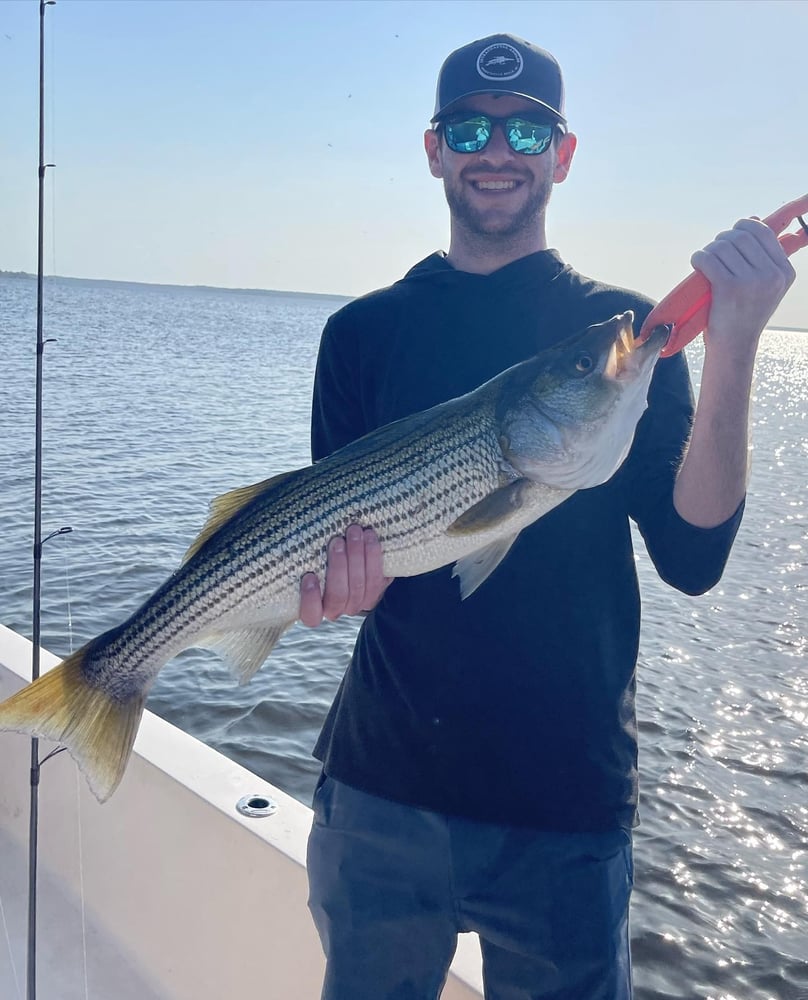 Inshore "Mixed Bag" Trip In New Bern