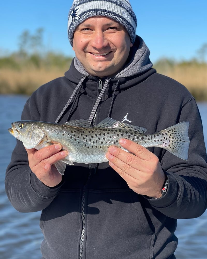 Inshore "Mixed Bag" Trip In New Bern