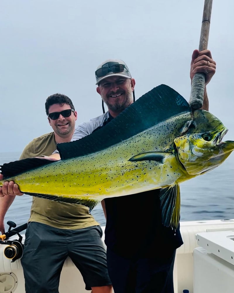 Close Offshore All Ages Trip In San Diego