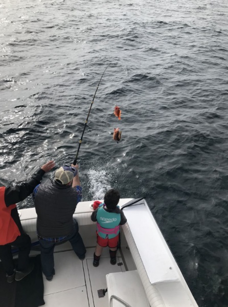 Close Offshore All Ages Trip In San Diego