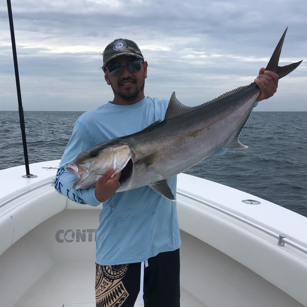 NC Nearshore Gamefish Trip In Carolina Beach