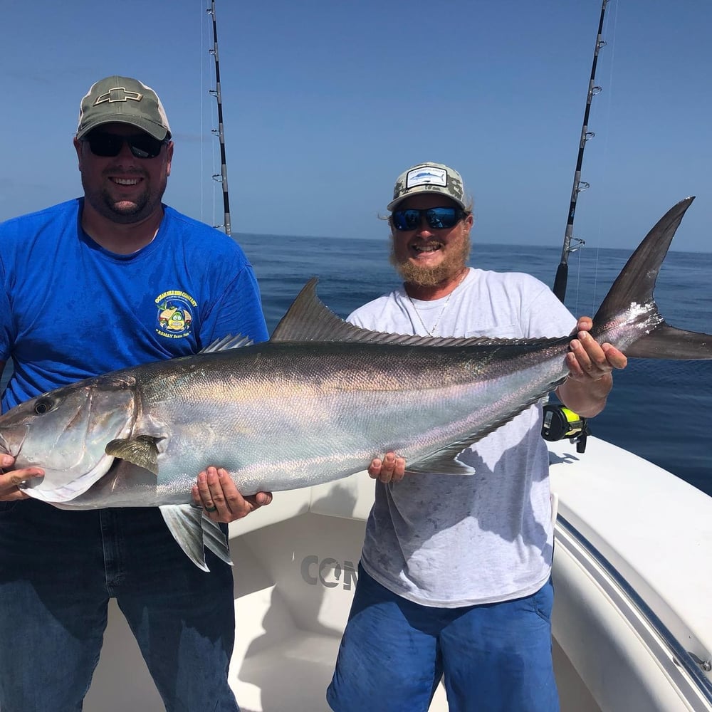 NC Nearshore Gamefish Trip In Carolina Beach