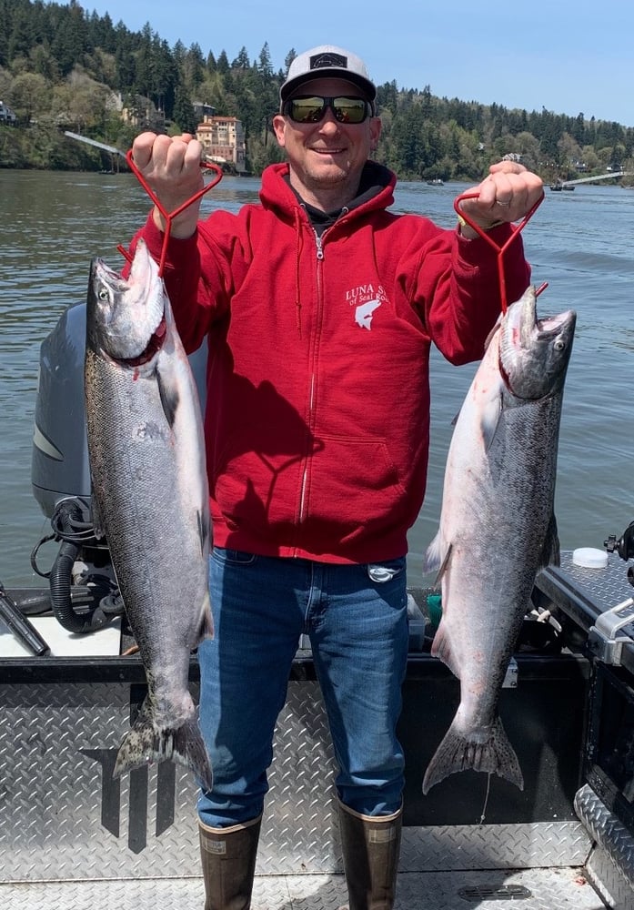 Columbia River Chinook Salmon In Portland