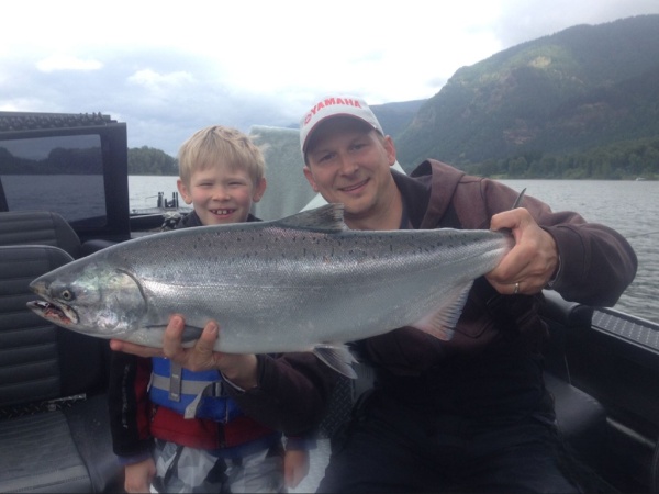 Columbia River Chinook Salmon In Portland