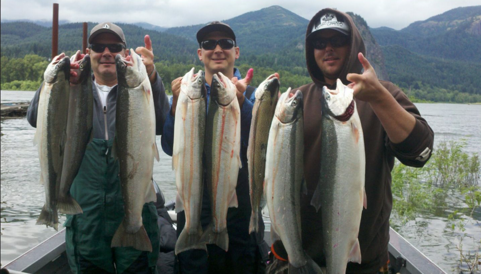 Columbia River Chinook Salmon In Portland