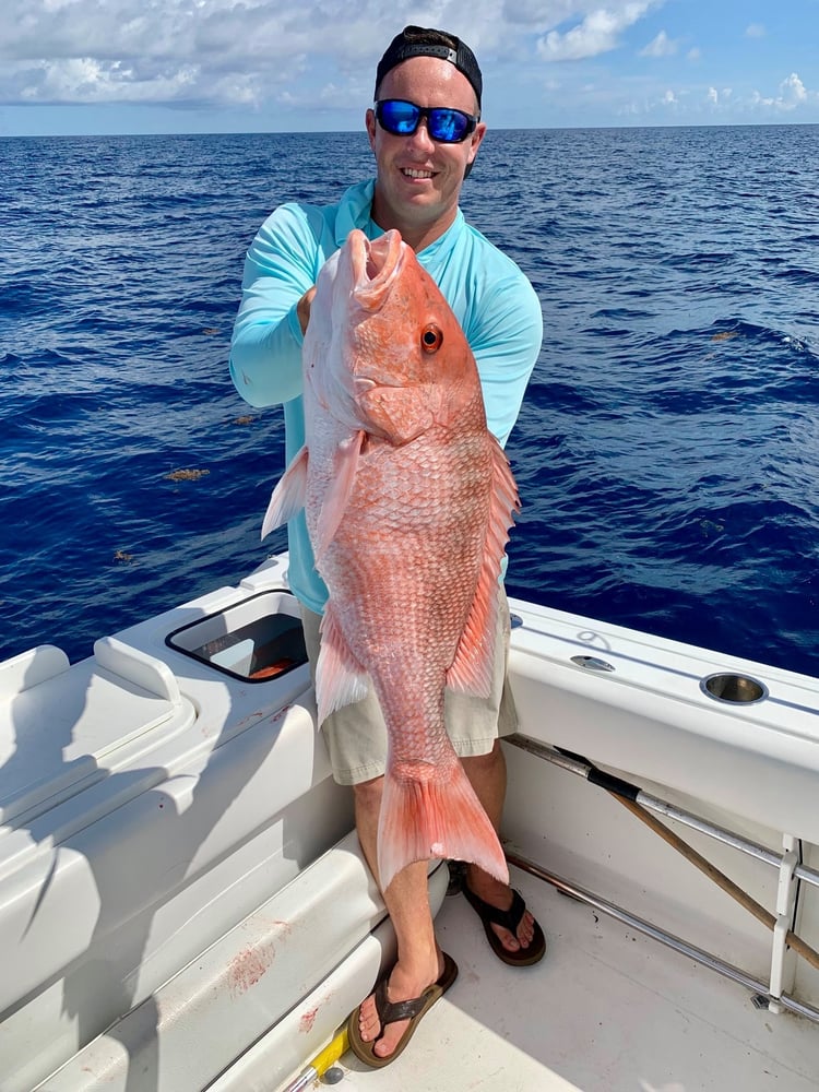 Tampa Bay Nearshore Run In St. Petersburg