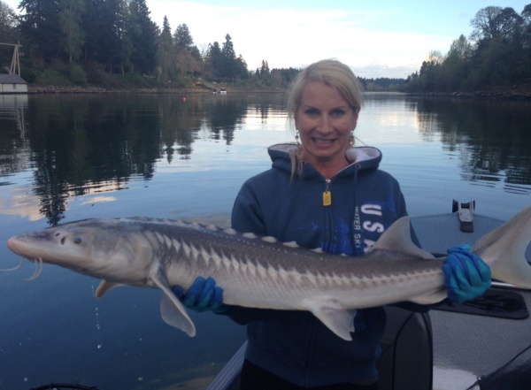 Sturgeon Fishing In Portland