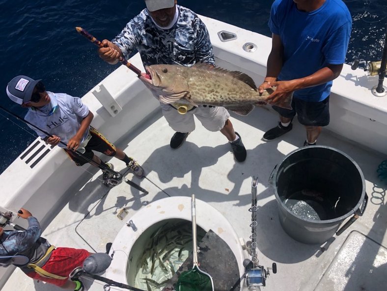 Combo - Reef/Trolling In Destin