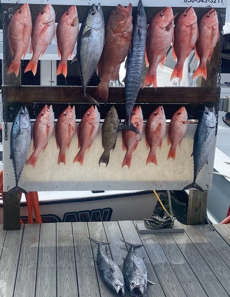 Combo Reef & Trolling Trips In Destin