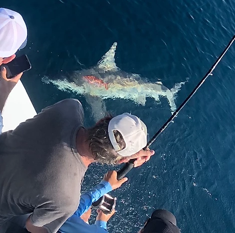 Combo - Reef/Trolling In Destin