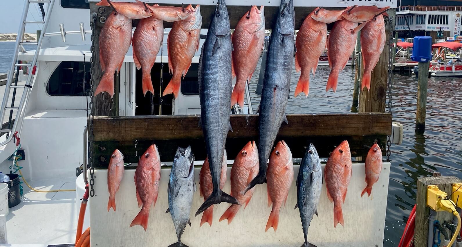 Combo - Reef/Trolling In Destin