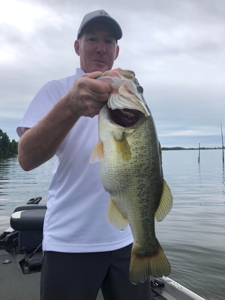 Your Next Trophy On Lake Fork In Alba