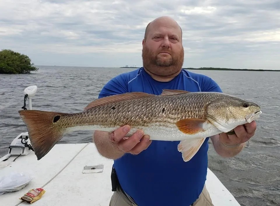 Big Ole Reds, Snook, & Trout In Crystal River