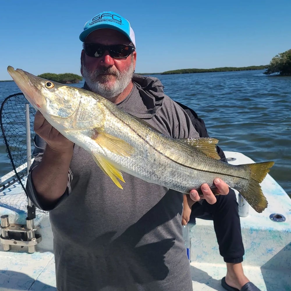 Big Ole Reds, Snook, & Trout In Crystal River