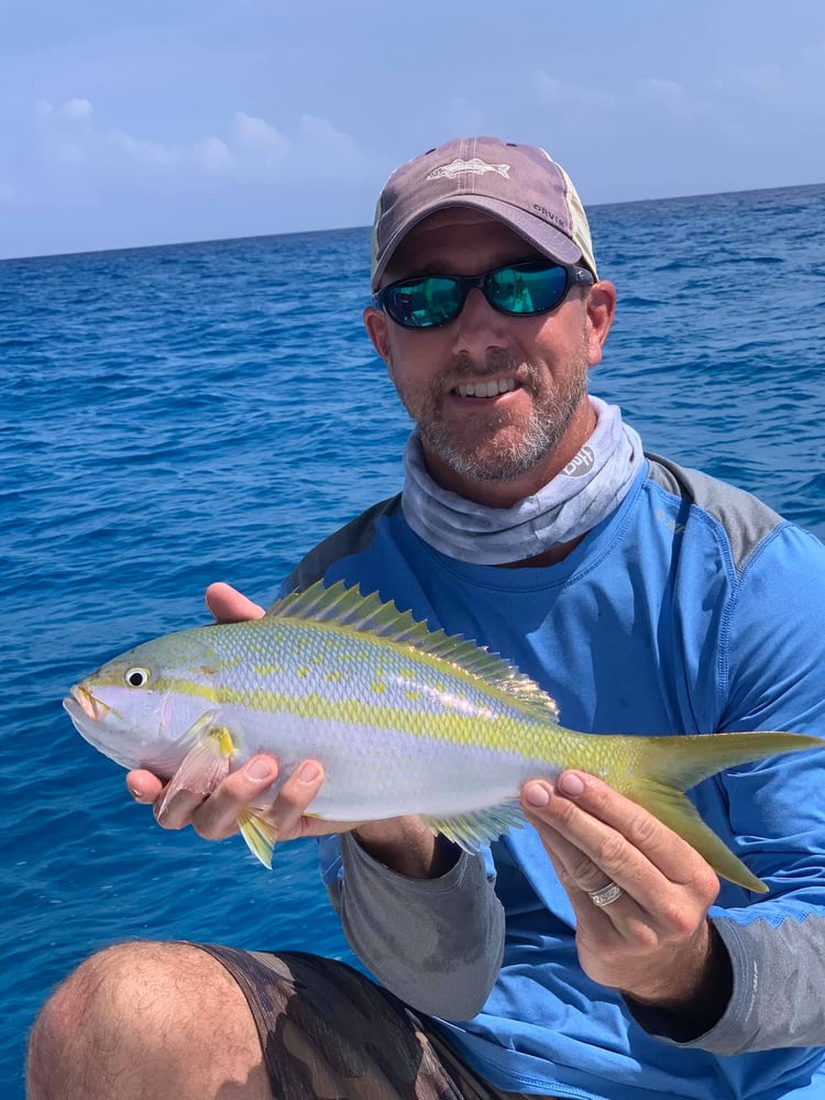 Barrier Reef Snappers And More In Islamorada