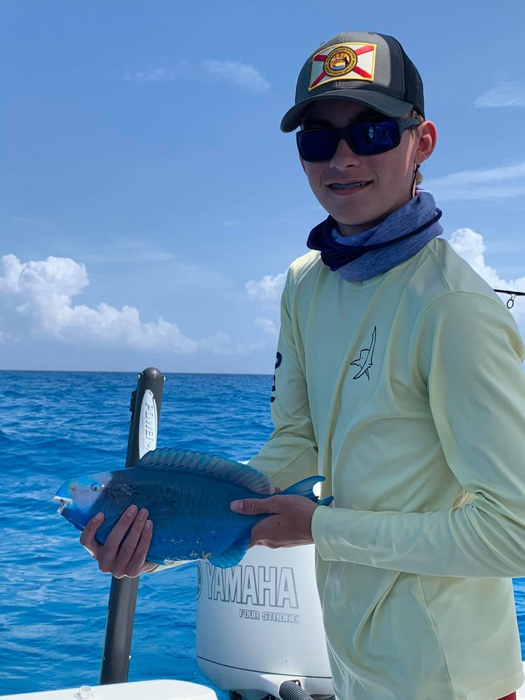 Barrier Reef Snappers And More In Islamorada