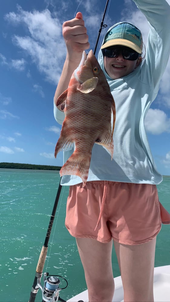 Barrier Reef Snappers And More In Islamorada