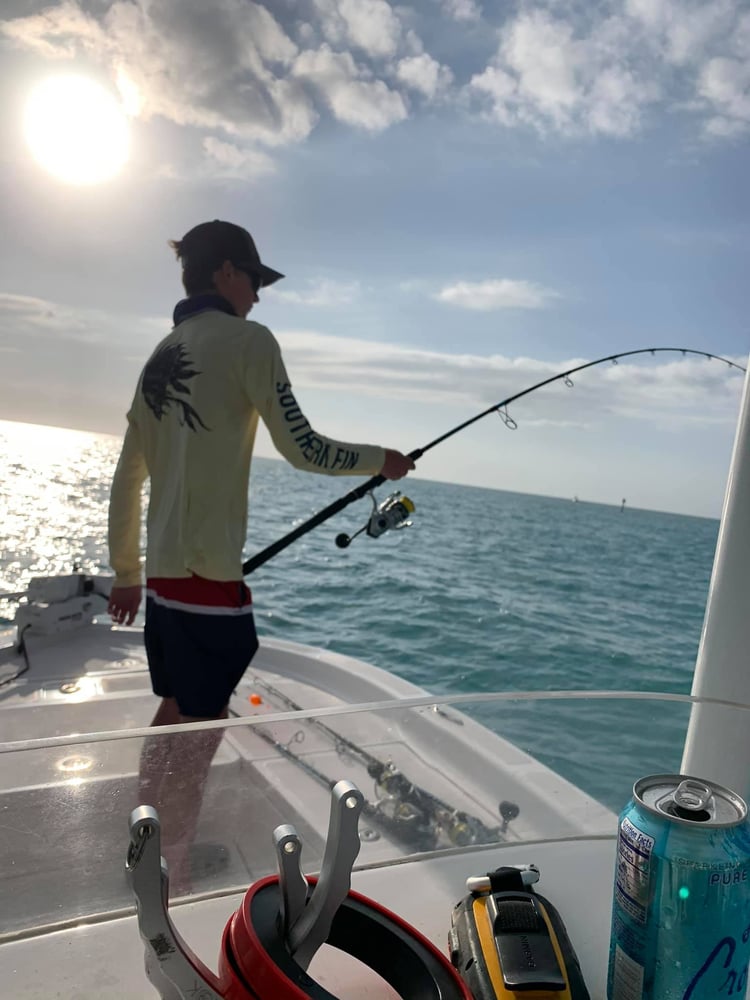 Barrier Reef Snappers And More In Islamorada