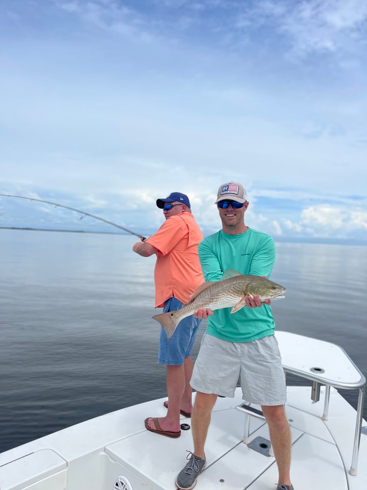 Cedar Key Inshore And Flats In Cedar Key