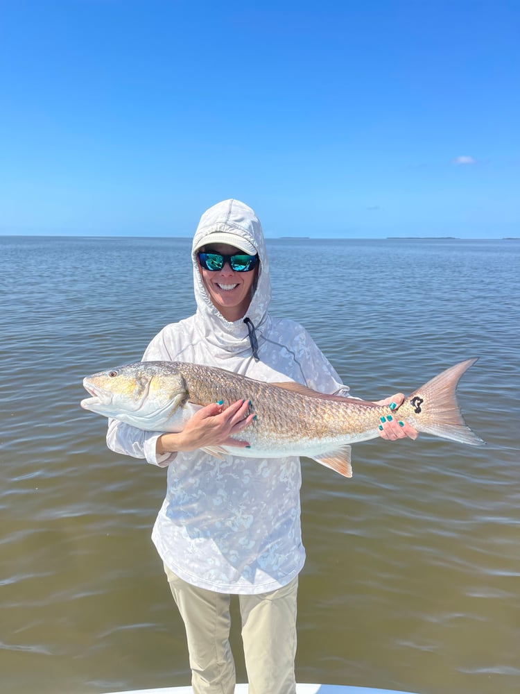 Cedar Key Inshore And Flats In Cedar Key