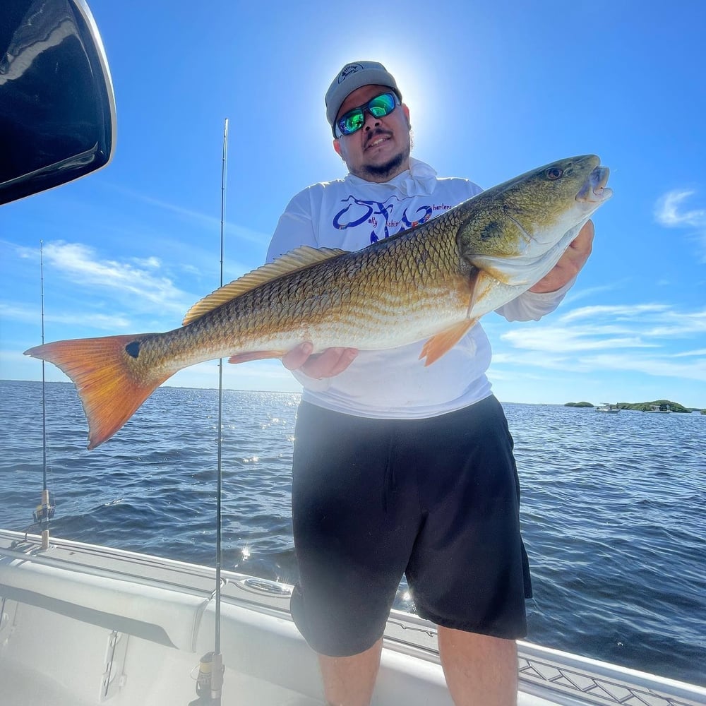 Bokellia->Boca Grande Inshore Adventure In Bokeelia